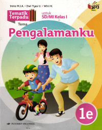 Pengalamanku