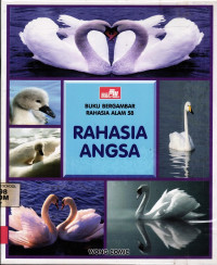 Rahasia Angsa