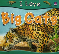 Big Cats