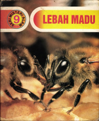 Image of Lebah Madu