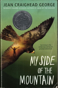 Image of My Side of The Mountain