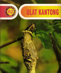 Image of Ulat Kantong