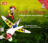 Image of Erick's Plane
