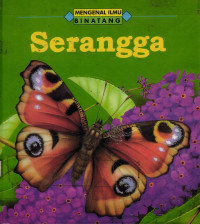 Serangga