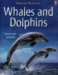 Whales and Dolphins