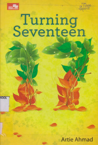 Image of Turning Seventeen